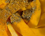 Foto del passaggio 3 della ricetta Zucca al forno con spezie e pecorino