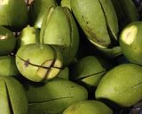 स्टफ्ड मैंगो अचार (Stuffed mango achar recipe in Hindi) रेसिपी चरण 1 फोटो