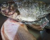 Foto langkah ke 1 dari resep Ikan Bakar Mujair Nila.