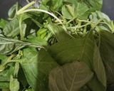 Foto langkah ke 1 dari resep Urap Bayam, Tauge, dan Kacang Panjang.