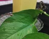 Energy Drink recipe step 2 photo