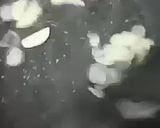 Foto langkah ke 2 dari resep Ikan asin kuah santan simpel.