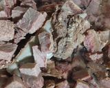 Foto langkah ke 1 dari resep Semur Daging Tahu Kentang.