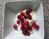 Rasberry ice cream dessert