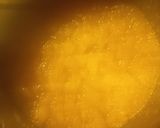 Foto del paso 4 de la receta Compota de Manzana