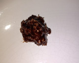 Foto del paso 4 de la receta: Bombones de coco y chocolate (receta súper fácil y liviana)