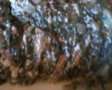 Foto del paso 4 de la receta: Canelones de Acelga y Ricota