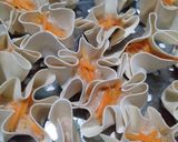 Foto langkah ke 4 dari resep Dimsum ayam simpel.