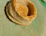 Foto del paso 5 de la receta: Volován con farsa de Camarones