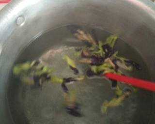 Cendol Bluepea(Bunga Telang) - Step 1