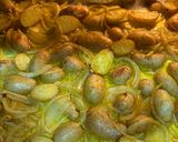 Foto del paso 2 de la receta: Pez espada al horno con patatas y cebolla