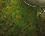 A picture of step 2 of Hara bhara oats chilla.