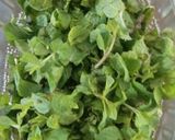 A picture of step 1 of #Green(Mint leaves)chutney.