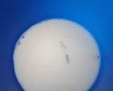 A picture of step 3 of Mylees sweet grey milk.