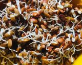 A picture of step 1 of Sprouted horse gram + palak soup weight loss recipe.