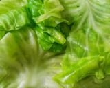 ক্যাবেজ স্প্রিং রোল (cabbage spring roll recipe in Bengali) রেসিপি ধাপ - 1 ছবি