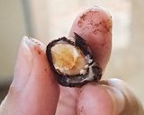 Foto langkah ke 6 dari resep Almond Chocolate Candy.