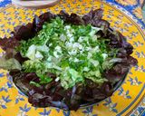 Une image de l'étape 8 de Salade de feuille de chêne à la feta et persil.