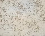 A picture of step 1 of Shahi Sindhi kutti.