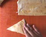 Filo baked samosa/CABBAGE BRIOUATS FILO RECIPE recipe step 5 photo