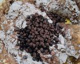 Foto langkah ke 2 dari resep Chocolate Muffin with Oreo (sy pakai chocochip) no mixer.