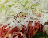 A picture of step 2 of Chipotle veggies roll.