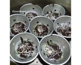Foto langkah ke 2 dari resep Brownis kukus Oreo cemilan 1y+.