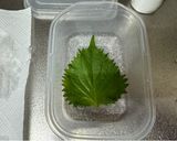 A picture of step 3 of Japanese Shiso Onigiri (Rice Ball)🍙.