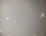 A picture of step 6 of Turkish Mahalabia.