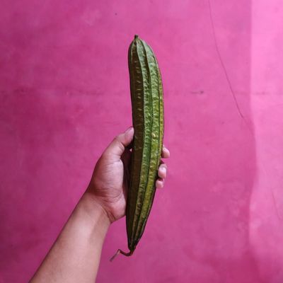 Langkah 2