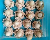 Foto langkah ke 4 dari resep Dimsum Telur Puyuh.