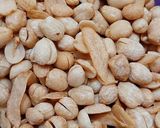 Foto langkah ke 11 dari resep Kacang Bawang Renyah.