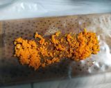Foto langkah ke 1 dari resep Golden Milk / Turmeric Latte.