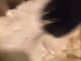 مكرونه الروبيان بالصلصة البيضه