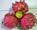 Foto langkah ke 1 dari resep Selai Buah Naga.