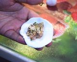 無麩質米煎餃(黏米粉/在來米粉版本)的食譜步驟7照片