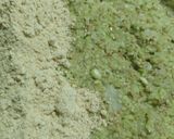 Foto del paso 2 de la receta: Falafel de porotos frescos 🫘💚