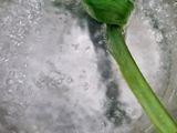 Klepon Bunga Telang (Boh Rom Rom Bunga Telang)