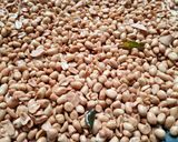 Foto langkah ke 3 dari resep Kacang Bawang.