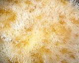 A picture of step 2 of My Cheesy Chips.