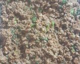 Foto del paso 2 de la receta: Empanada en espiral