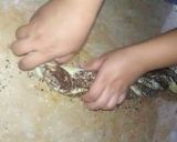 A picture of step 6 of Chocolate pawri (donut bread).
