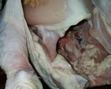 Foto del paso 3 de la receta: Pollo sentado