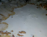 Foto del paso 5 de la receta: Fideos cintas con crema de nueces