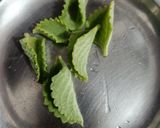 A picture of step 1 of Immunity drink.
