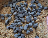Foto del paso 3 de la receta: Budín de coco y harina integral