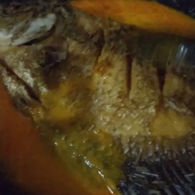 Langkah 5