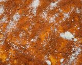Une image de l'étape 1 de Palmiers au pesto rosso.