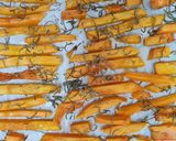 Foto del paso 3 de la receta: Zapallo anco al romero 🧡 ¡Bienvenido el otoño! 🍁