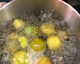 Foto del paso 2 de la receta: Dip de Guacamole Sonorense